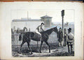 Original Old Antique Print 1876 Horse Jockey Starting Line Men Fine Art 19th