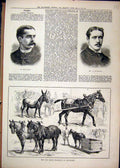 Original Old Antique Print 1884 Portrait Oswald Paravicini Horse Newcastle May