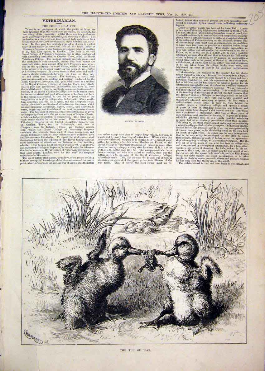 Original Old Antique Print Portrait Signor Gayarre 1879 Ducks Playing Frog River