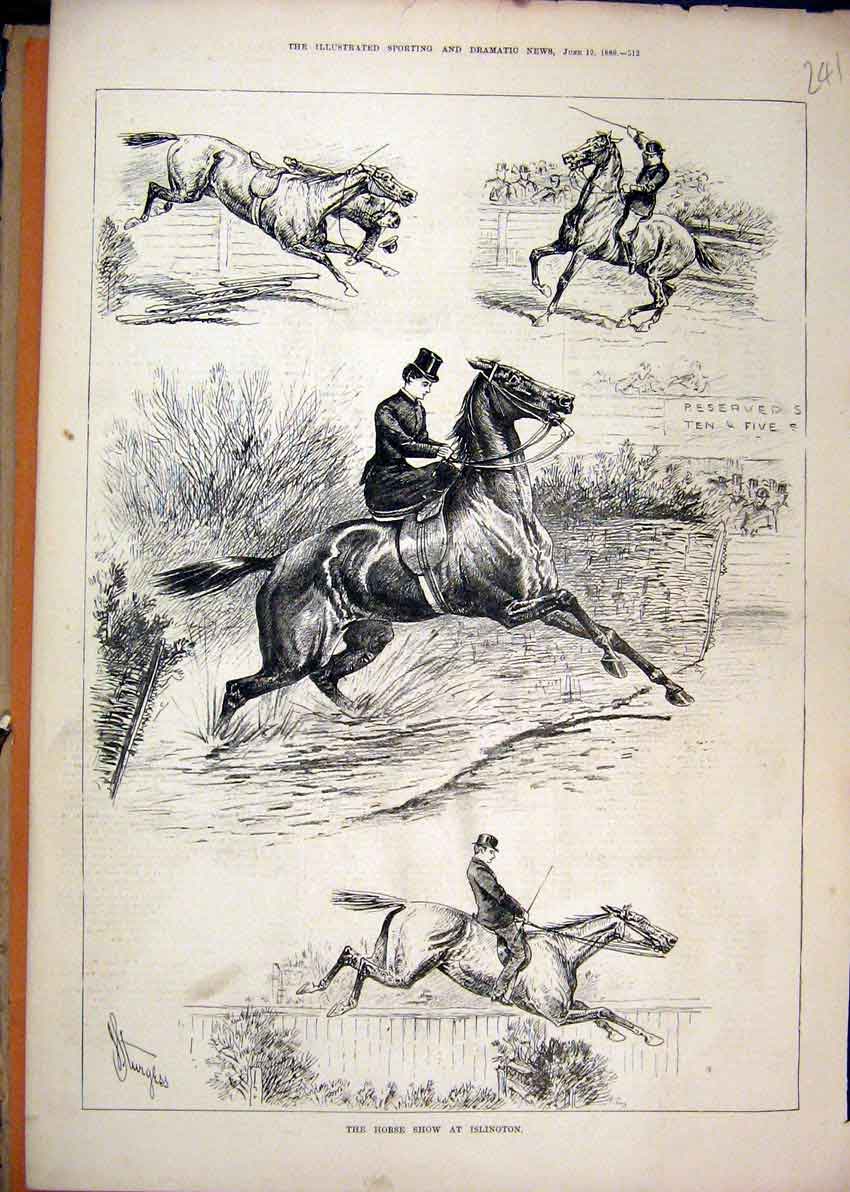 Original Old Antique Print 1880 Horse Show Islington Woman Rider Jumping Falling