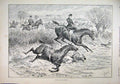 Original Old Antique Print 1895 Horses Jumping Hedge Man Falling Country Scene