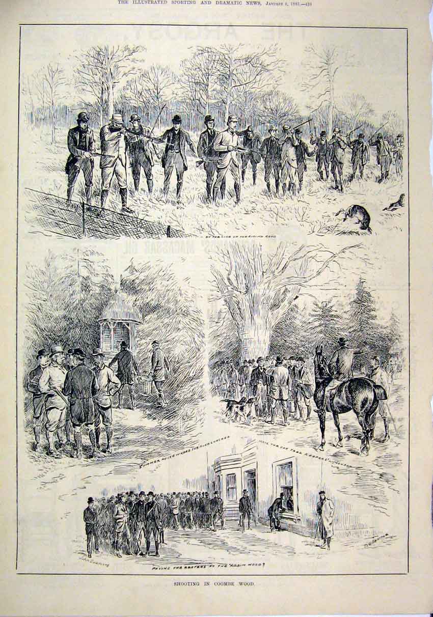 Original Old Antique Print 1883 Shooting Coombe Wood Dog Hare Gun Beaters 19th