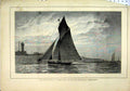 Original Old Antique Print 1876 Prince Wales Channel Match Dudu Cygnet Lawrence