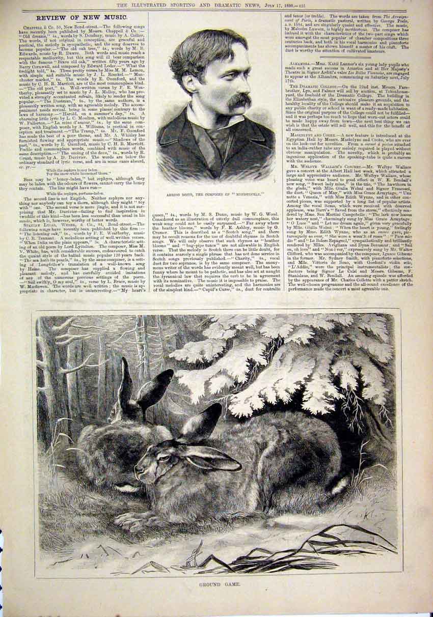 Original Old Antique Print 1880 Portrait Arrigo Boito Composer Hare Under Tree