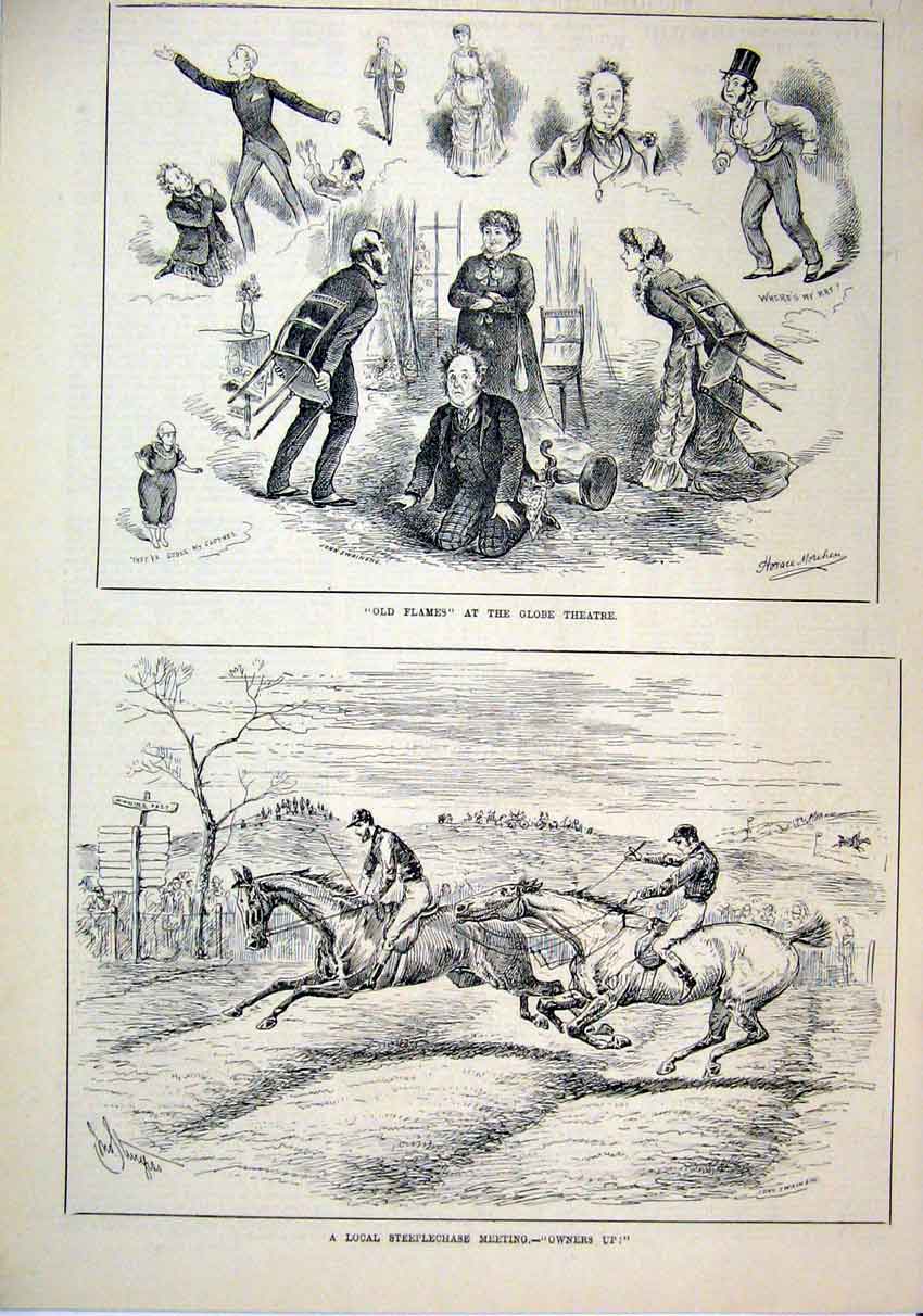 Original Old Antique Print Zoo Man Elephant Brush 1876 Wiltshire New Zealand