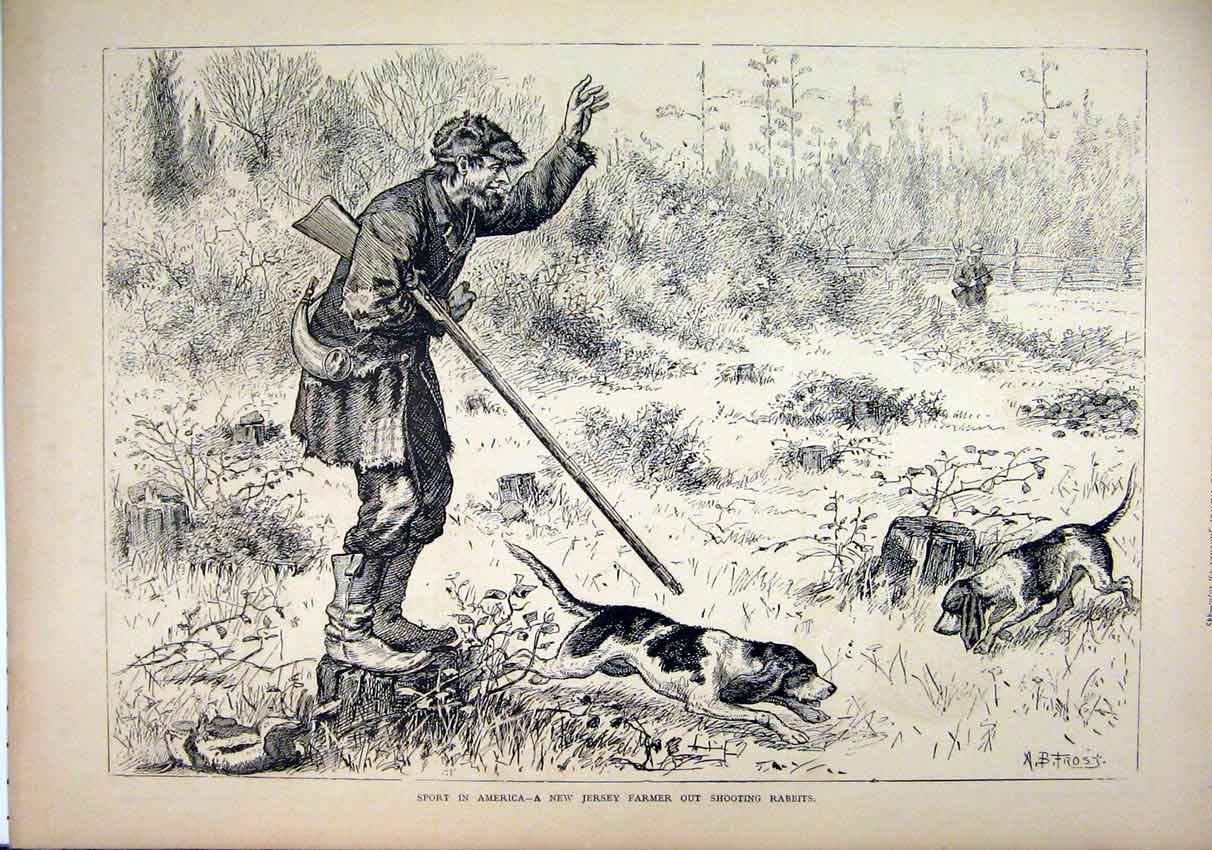 Original Old Antique Print 1878 Sport America Jersey Farmer Shooting Rabbits Dog