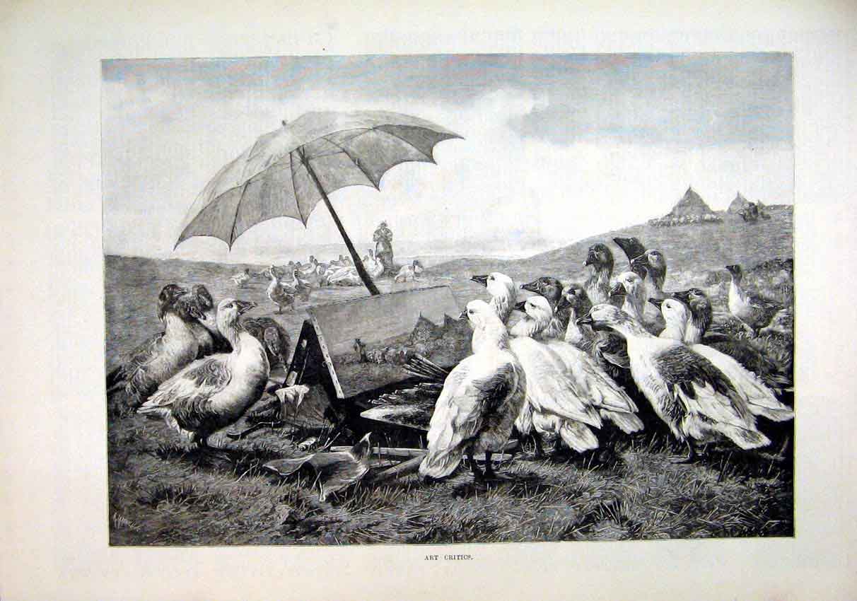 Original Old Antique Print 1884 Birds Artist Paints Umbrella Woman Art Victorian
