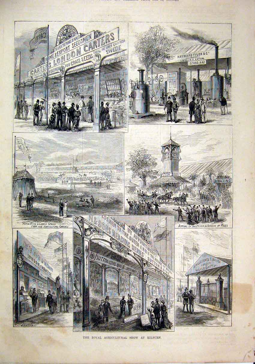 Original Old Antique Print 1879 Royal Agricultural Show Kilburn Prince Wales