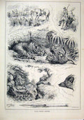 Original Old Antique Print Indian Sporting Sketches 1883 Horse Weapon Tiger Rock
