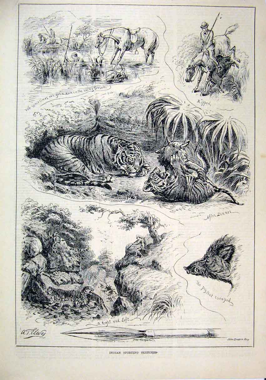 Original Old Antique Print Indian Sporting Sketches 1883 Horse Weapon Tiger Rock