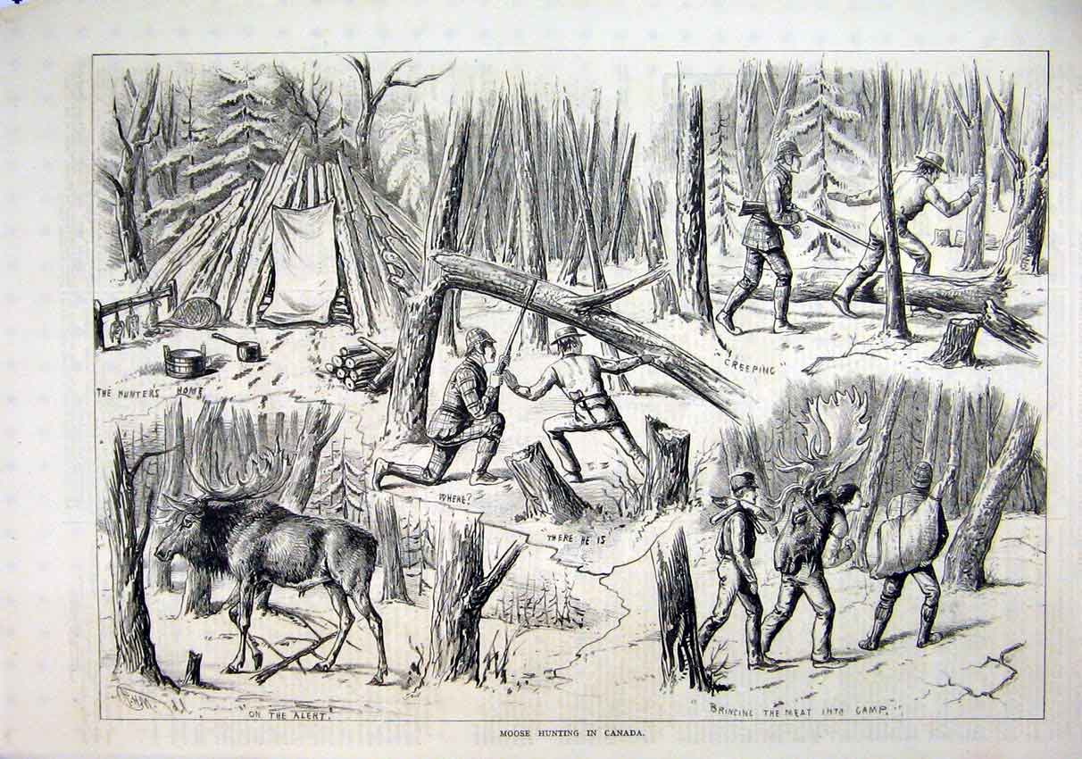 Original Old Antique Print 1879 Moose Hunting Canada Men Gun Camp Shotting Trees