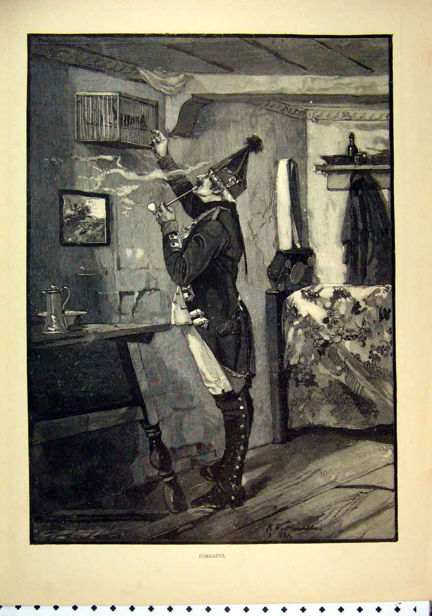 Original Old Antique Print Duckling 1889 Washing River Lamb Watching Grass 19th