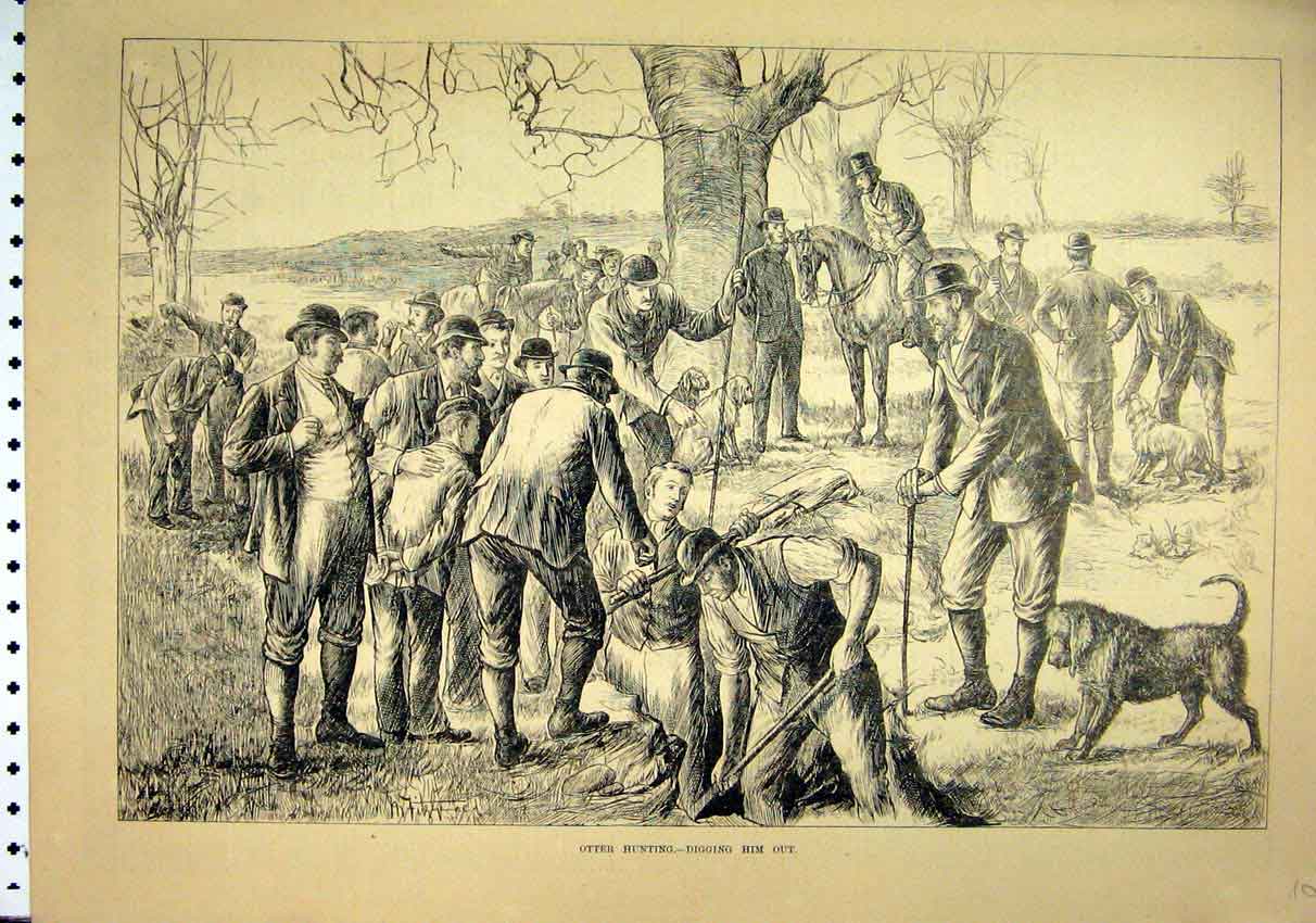 Old Antique Print 1881 Otter Hunting Digging Dog Horse Men Country Scene 19th
