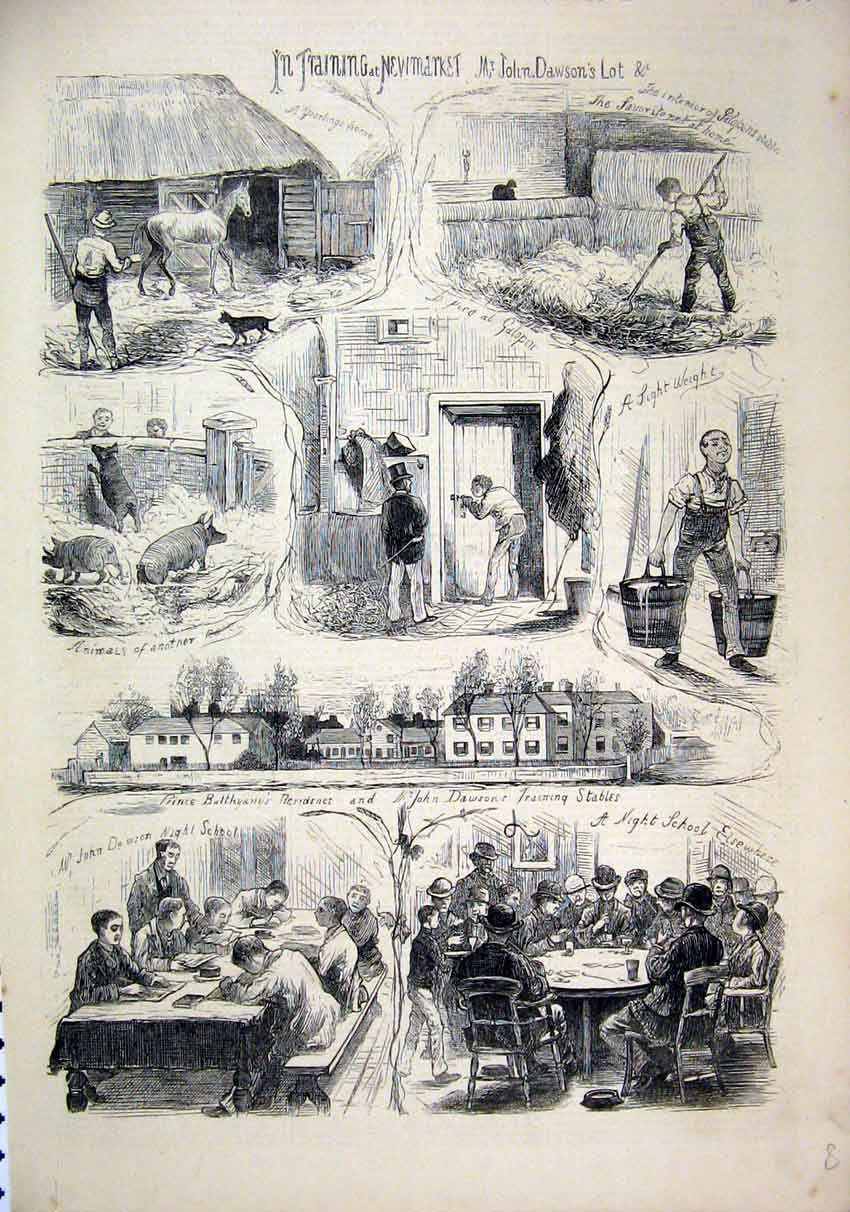 Original Old Antique Print 1876 Training Stables Newmarket Dawson Horse Pig 19th