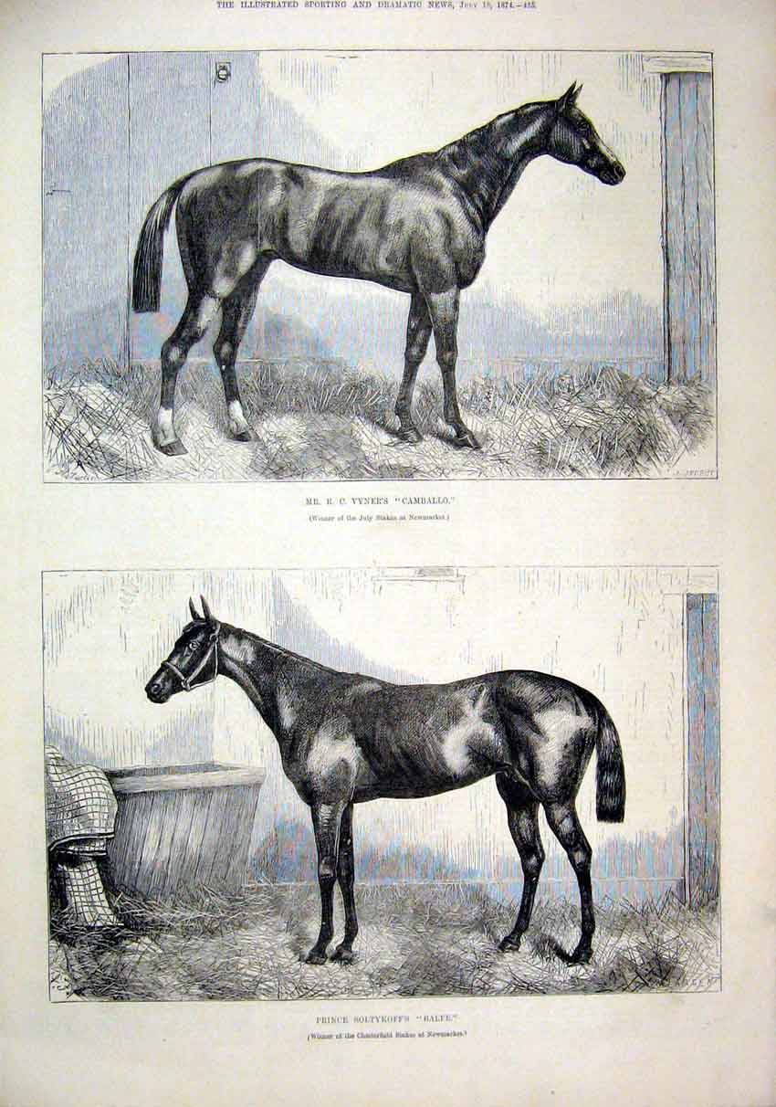 Original Old Antique Print Horses 1874 Vyners Camballo Soltykoff Balfe Newmarket