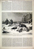 Original Old Antique Print 1880 Bear Hunting Polar Regions Snow Men Gun Dead Ice