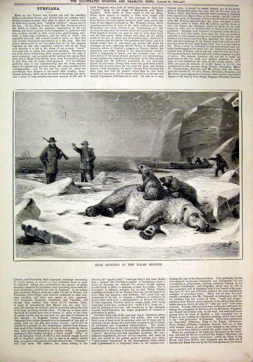 Original Old Antique Print 1880 Bear Hunting Polar Regions Snow Men Gun Dead Ice