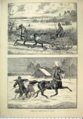 Original Old Antique Print Summer Winter Scene Horse Driving Austria 1882 19th