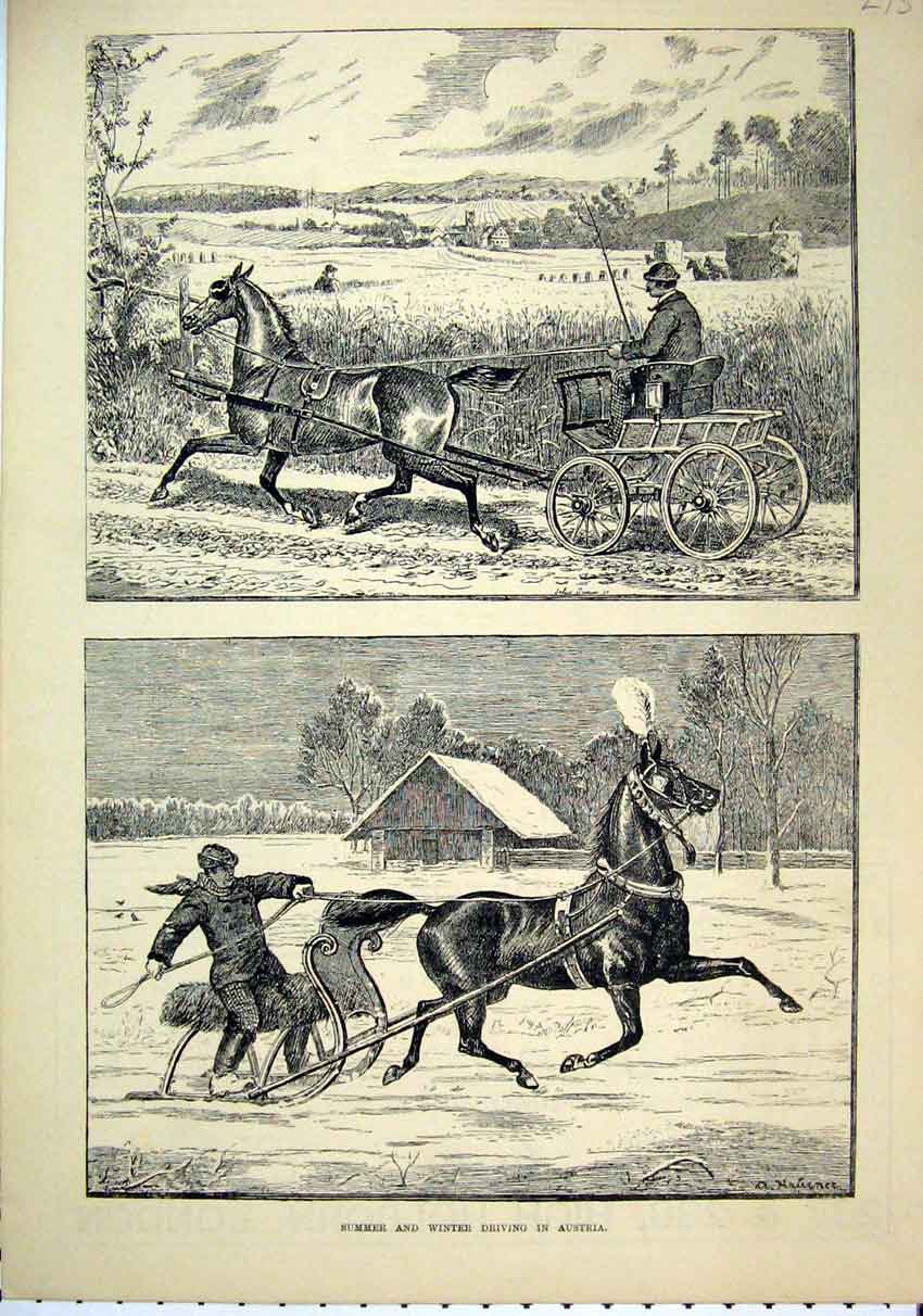 Original Old Antique Print Summer Winter Scene Horse Driving Austria 1882 19th