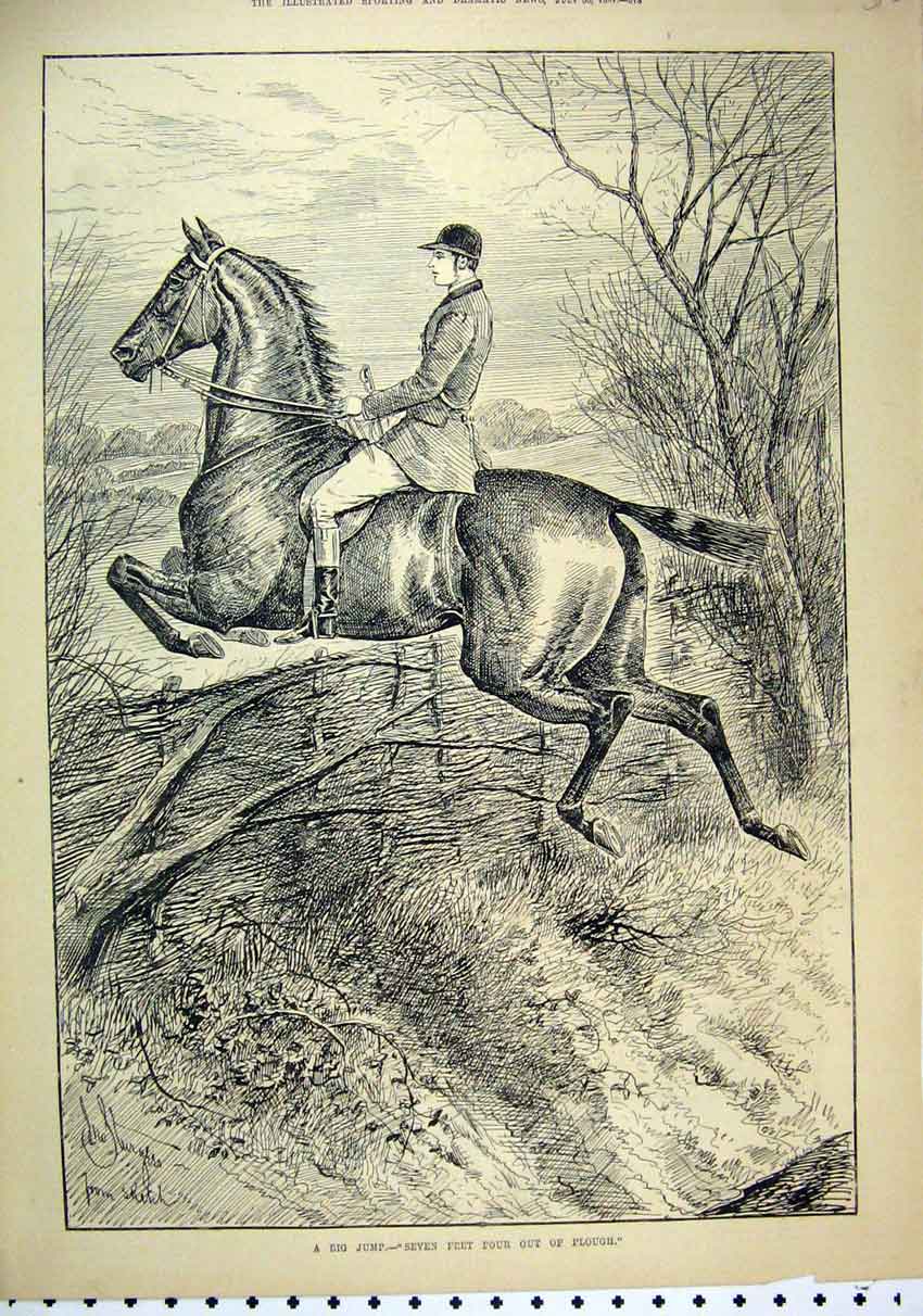 Original Old Antique Print 1887 Man Horse Jumping Big Fence Tree Country Scene