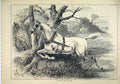 Original Old Antique Print 1882 Loose Horse Running Field Country Scene 19th