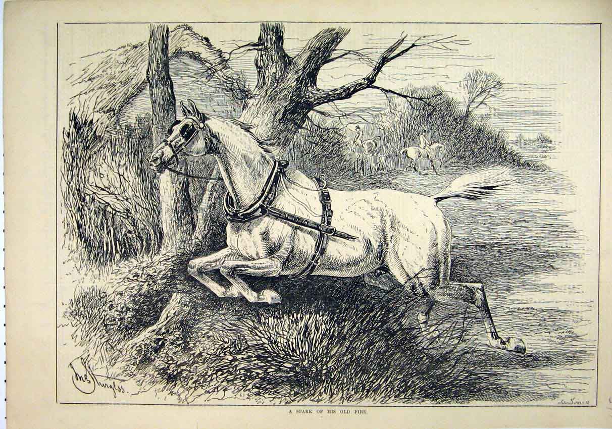 Original Old Antique Print 1882 Loose Horse Running Field Country Scene 19th