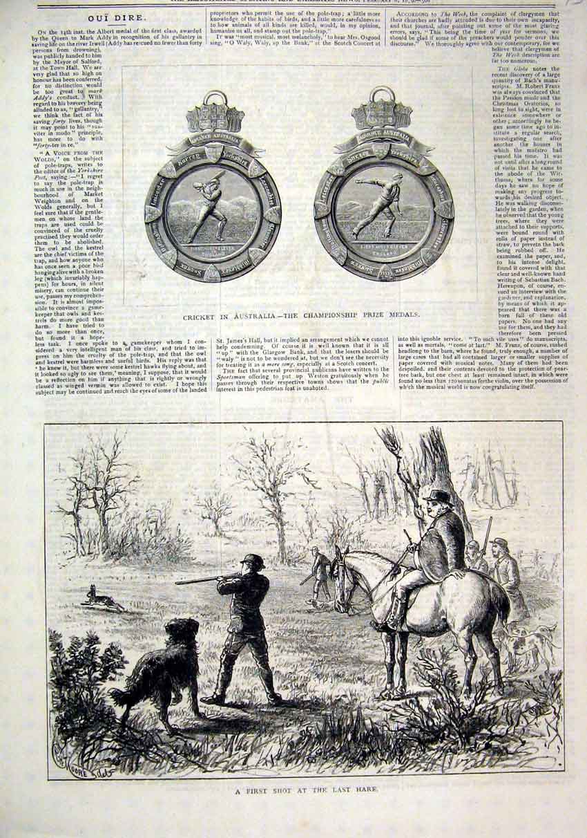Original Old Antique Print Cricket Australia Prize Medals 1879 Shooting Hare