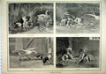 Original Old Antique Print 1892 Dogs Catching Geese River Chasing Killing Eating