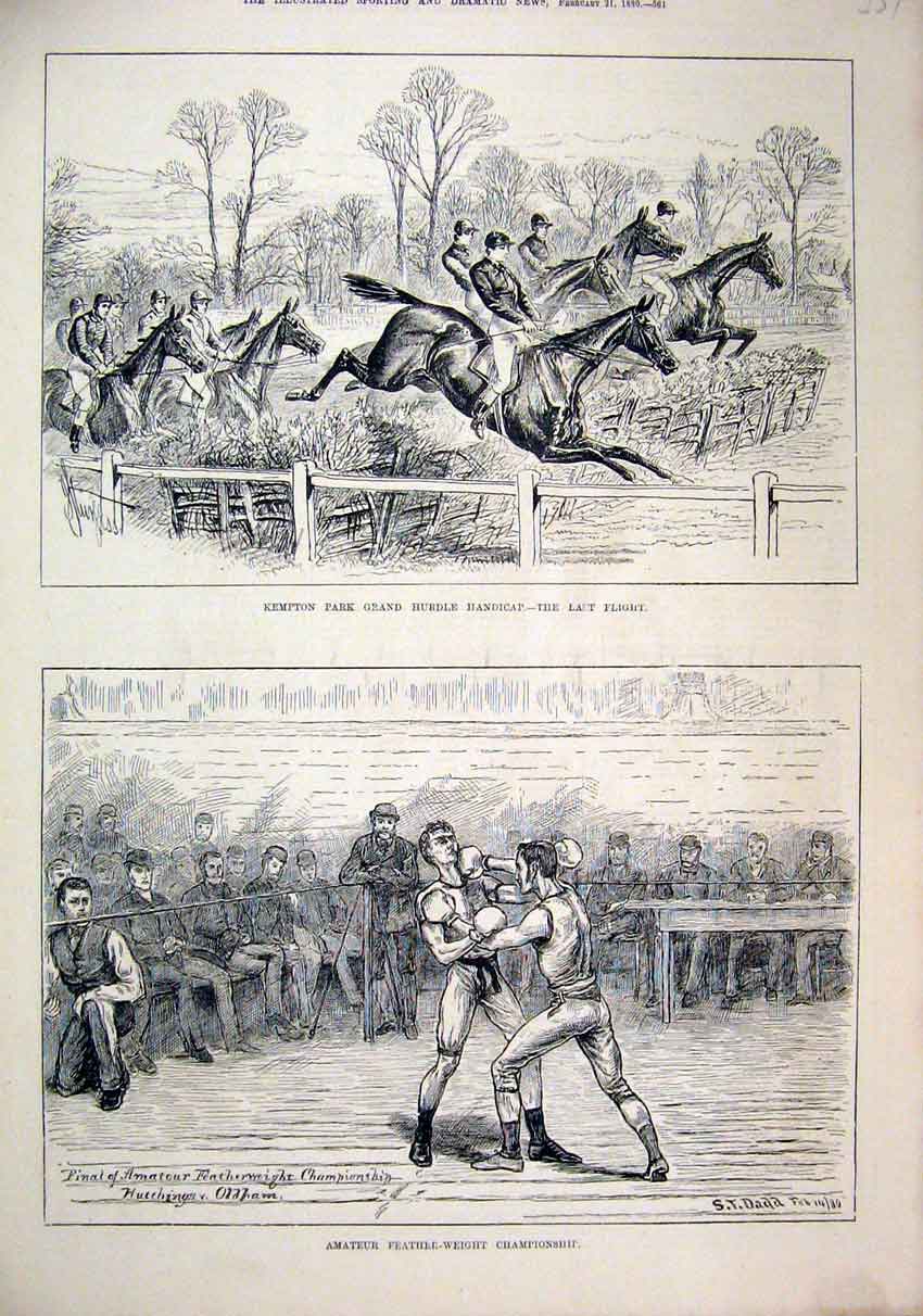 Old Antique Print Amateur Feather-Weight Boxing 1880 Kempton Horse Hurdle 19th