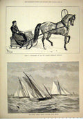 Original Old Antique Print 1877 Royal Albert Yacht Club Yawl Match Trotter Horse