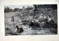 Old Antique Print Children Playing Country 1883 Tree Branch Pigs Fine Art 19th