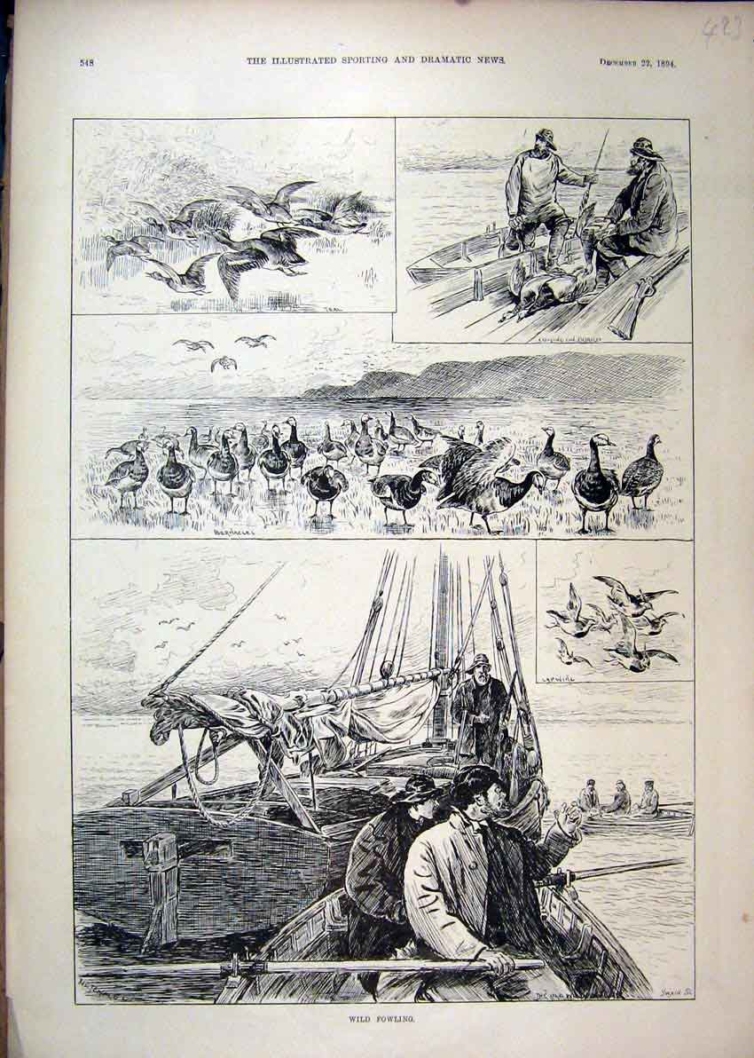 Original Old Antique Print 1894 Wild Fowling Boat Bernacles Lapwing Sail 19th