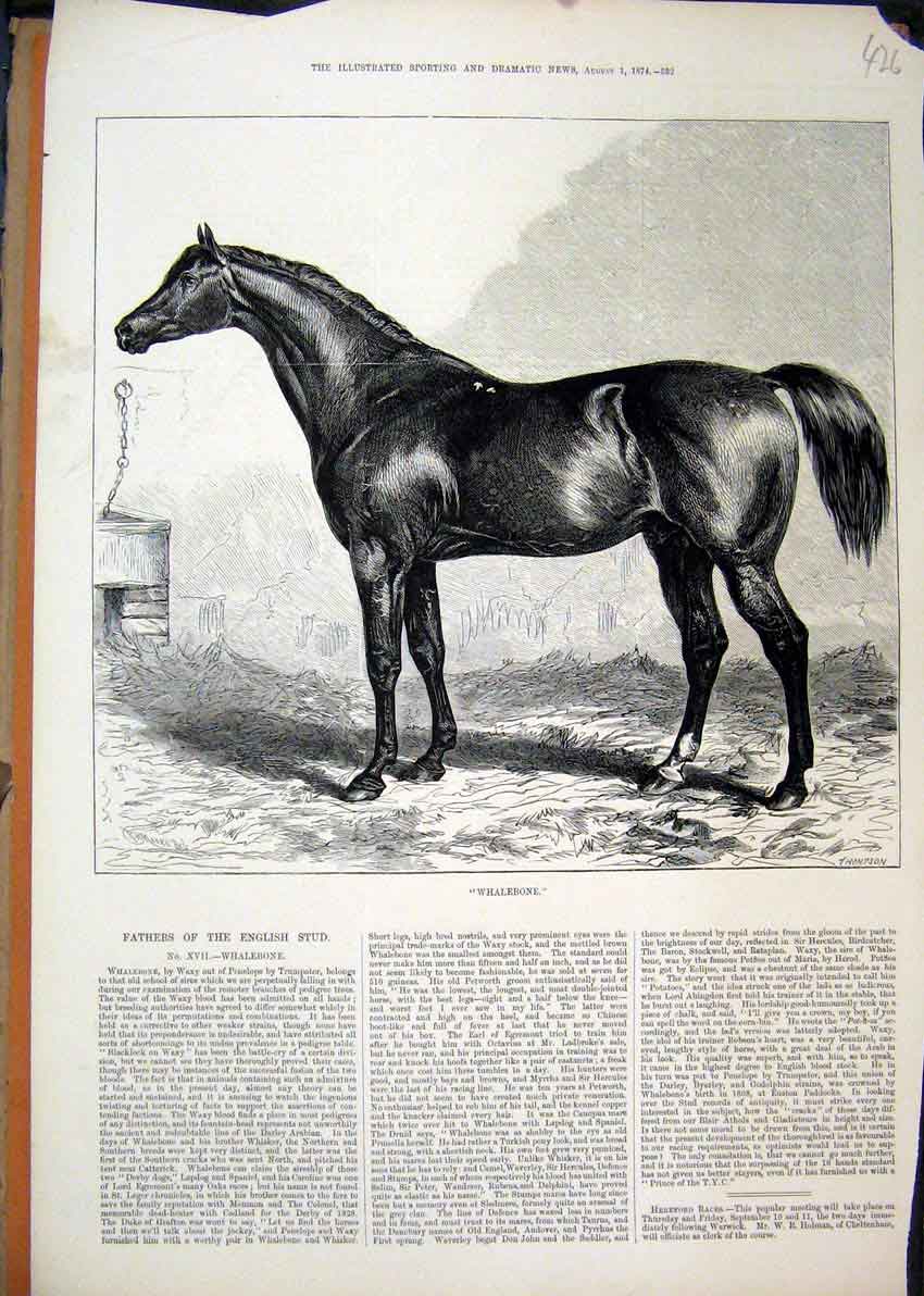 Original Old Antique Print 1874 Black Horse Whalebone English Stud Victorian