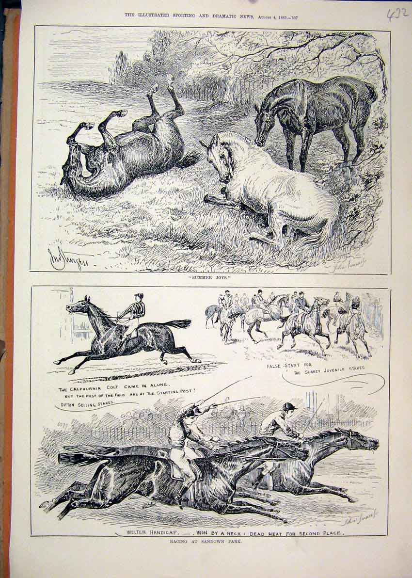 Original Old Antique Print 1883 Racing Horses Sandown Park Rolling Field Welter