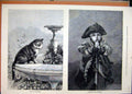 Original Old Antique Print Cat Sitting Fountain 1880 Young Boy Siers Outfit 19th