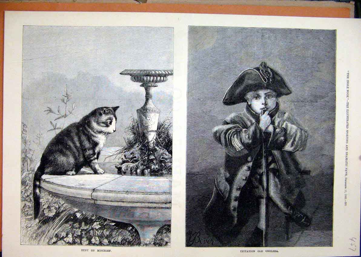 Original Old Antique Print Cat Sitting Fountain 1880 Young Boy Siers Outfit 19th