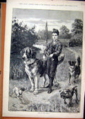 Old Antique Print 1883 Young Boy Walking Big Dogs Country Scene Fine Art 19th