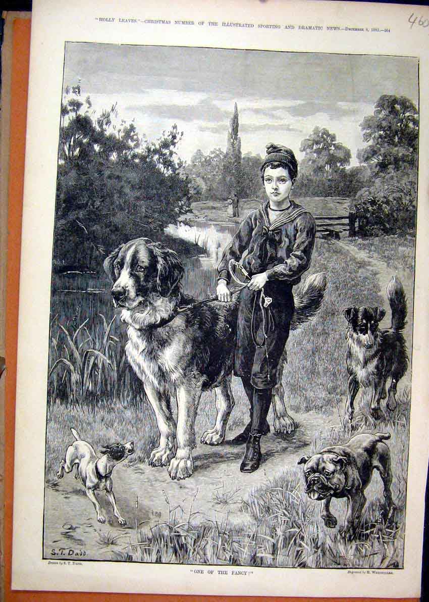 Old Antique Print 1883 Young Boy Walking Big Dogs Country Scene Fine Art 19th