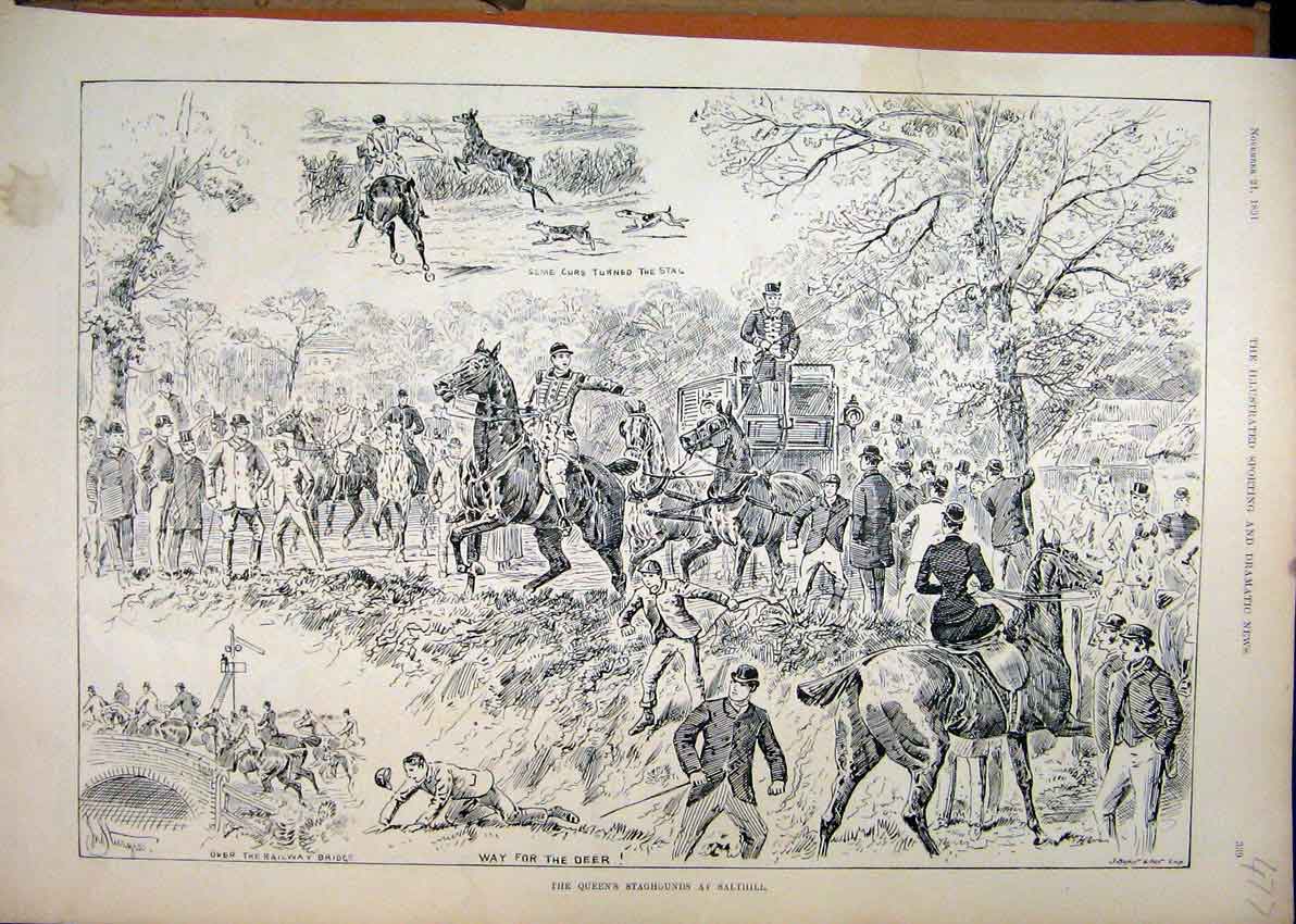 Original Old Antique Print 1891 Queens Staghounds Salthill Dogs Horses Coach