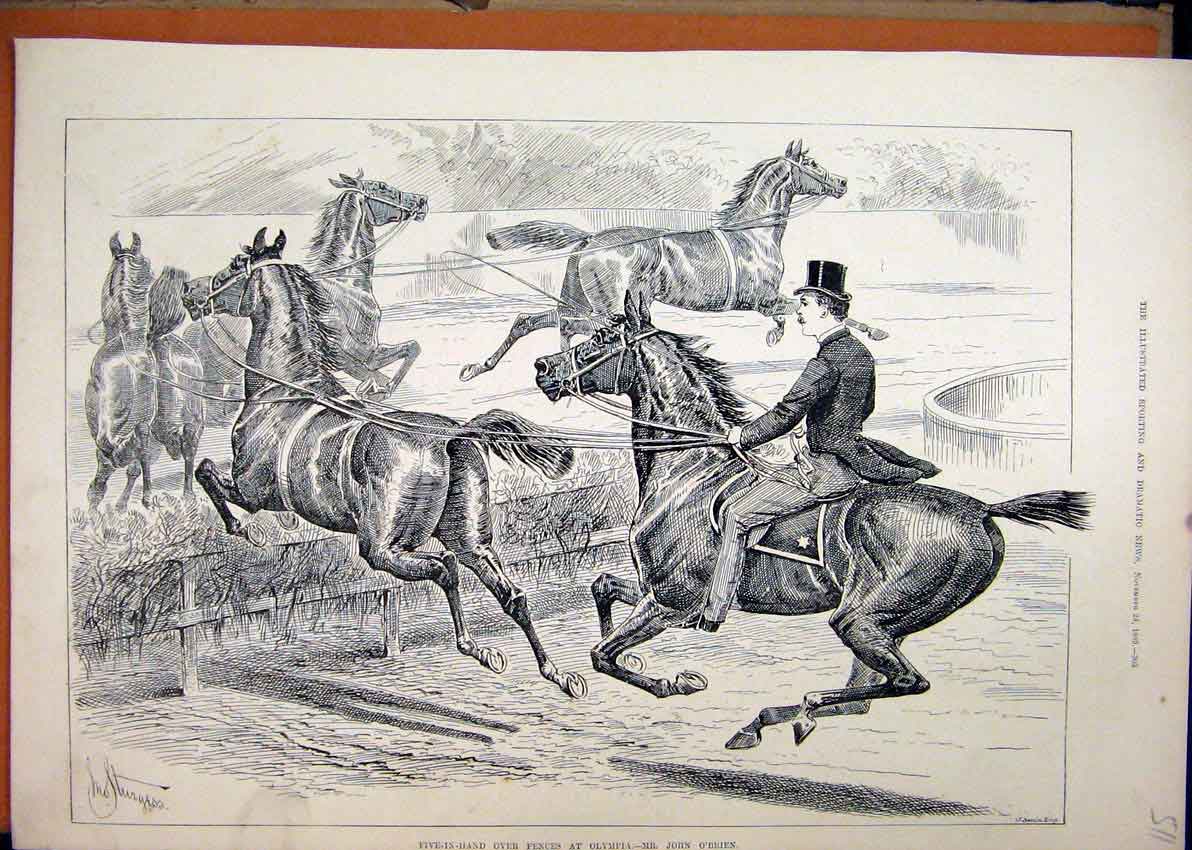 Old Antique Print Five-In-Hand 1880 Horses Jumping Fences Olympia O'Brien 19th