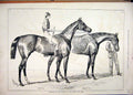 Original Old Antique Print 1878 Portraits Winner Derby Oaks Sefton Jannette 19th