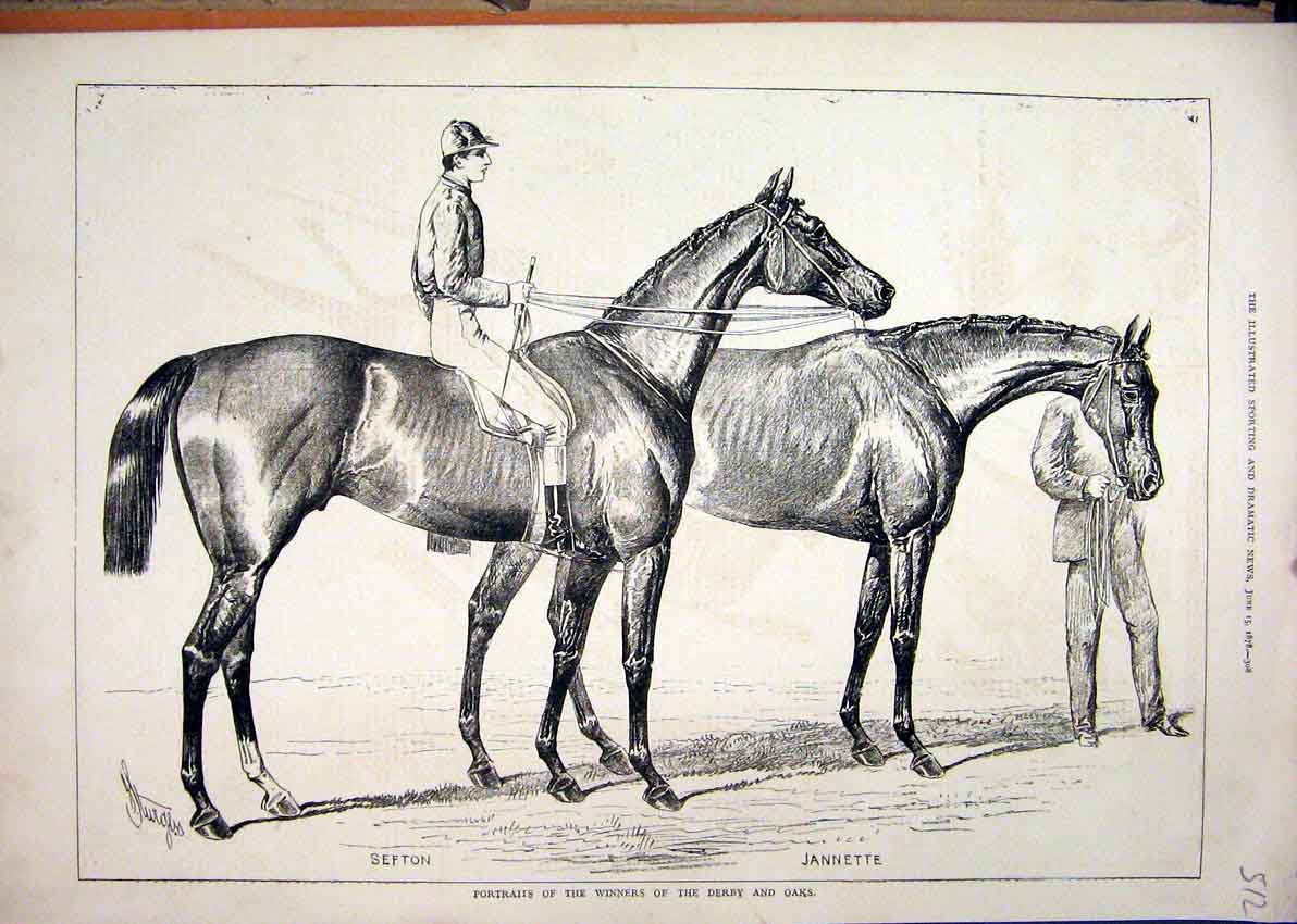 Original Old Antique Print 1878 Portraits Winner Derby Oaks Sefton Jannette 19th