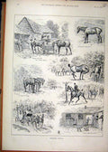 Original Old Antique Print 1892 Summer Hunters Horses Feeding Dog Stable Coach