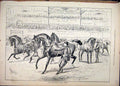 Original Old Antique Print Metropolitan Horse Show 1878 Gallery Man Leading 19th