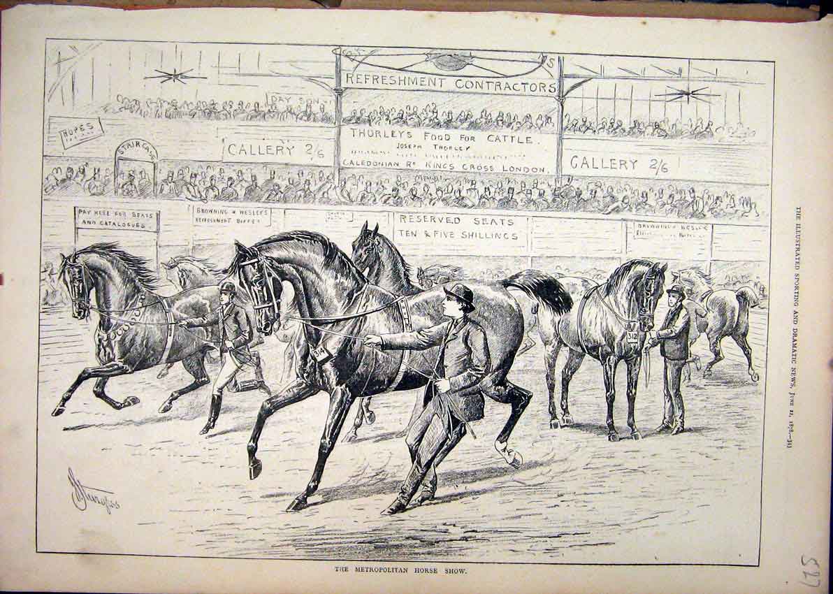 Original Old Antique Print Metropolitan Horse Show 1878 Gallery Man Leading 19th