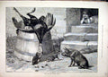 Original Old Antique Print 1885 Dead Turkey Pig Kitten Young Girl Doorstep 19th