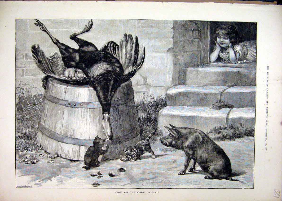 Original Old Antique Print 1885 Dead Turkey Pig Kitten Young Girl Doorstep 19th