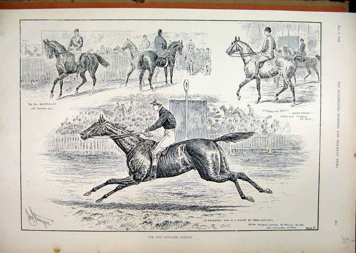 Old Antique Print 1896 Horse Racing Two Thousand Guineas Frusquin Winner 19th