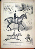 Old Antique Print 1887 Islington Horse Show Stallion Hunter Featherweight 19th