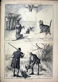 Original Old Antique Print 1880 Men Shooting Birds Country Dog Cats Victorian